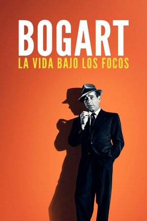 Bogart: Life Comes in Flashes