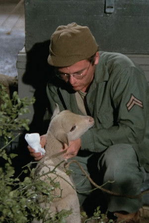 Vojín Charles Jehně