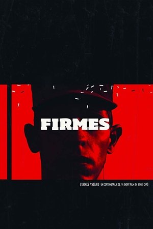 Firmes