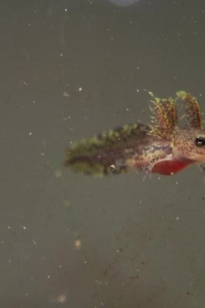 3. epizoda