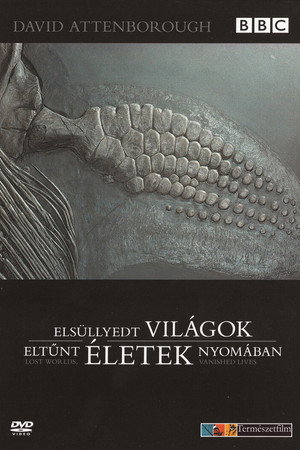 Elsüllyedt világok, eltűnt életek nyomában