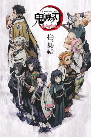 Demon Slayer: Kimetsu no Yaiba the Hashira Meeting Arc