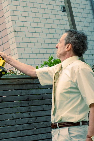 Neighbour’s garden