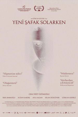 Yeni Şafak Solarken