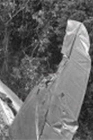 epizoda