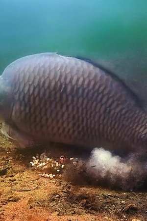 2. epizoda