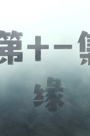 Episode 11