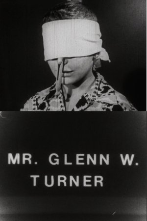 Mr. Glenn W. Turner