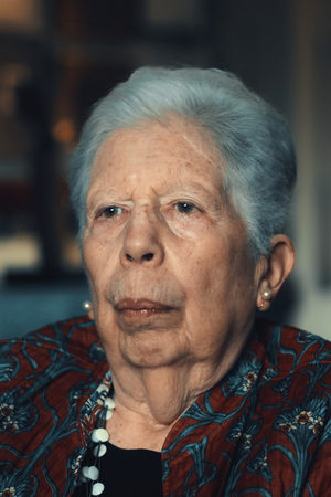 Vyšetřování