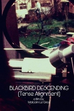 Blackbird Descending