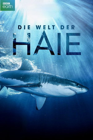 Die Welt der Haie