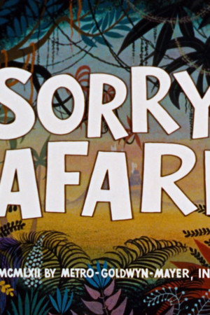 Sorry Safari