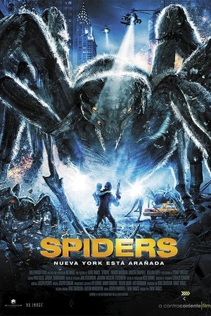 Spiders 3D