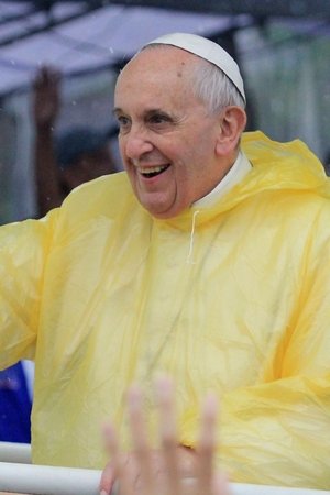Papst Franziskus - Große Hoffnung, tiefer Fall?