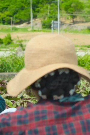 episode