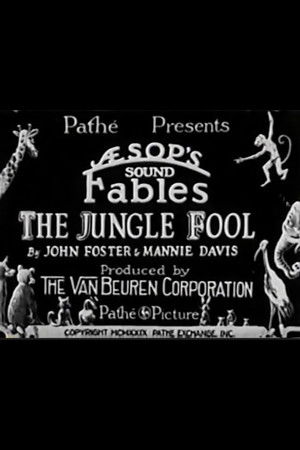 The Jungle Fool