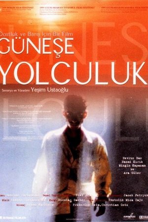Güneşe Yolculuk