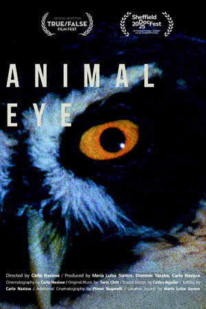 Animal Eye