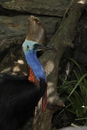 25. epizoda