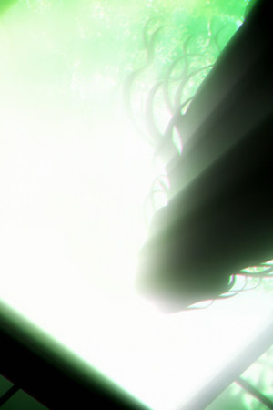 Reminiscence