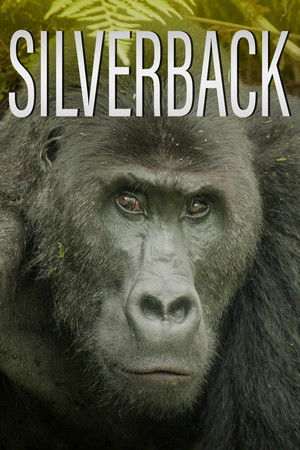 Silverback