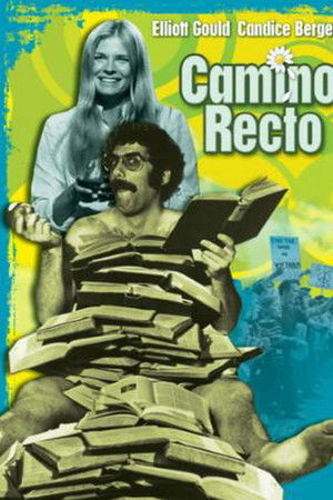 Imagen de Camino recto