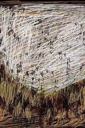 A One Minute History Of Image Distortions