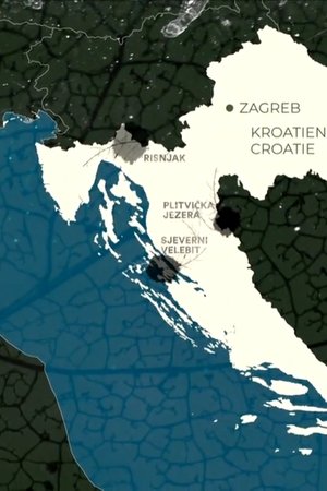 epizoda