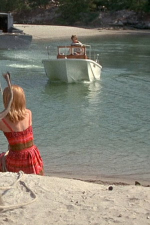 Flipper and the Elephant (2)