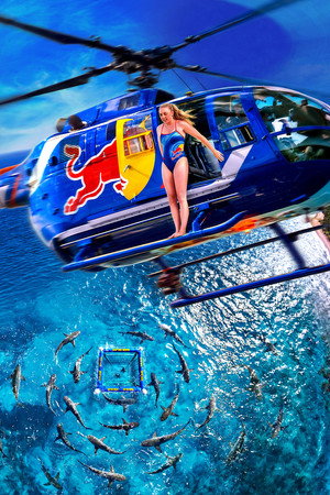 Ultimate Shark Dive