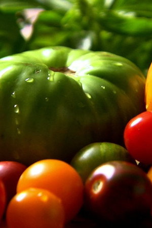 Farm Stand Food