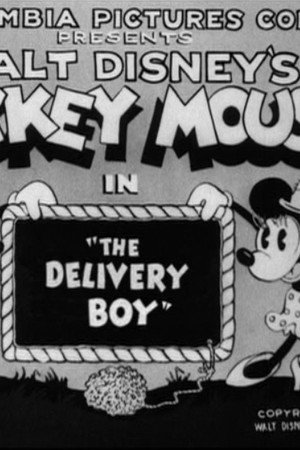 The Delivery Boy