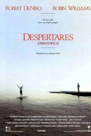 Imagen de Despertares