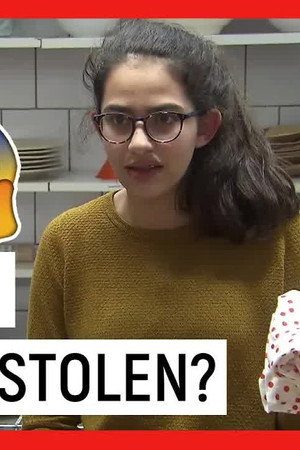 Did You Steal Everything?!