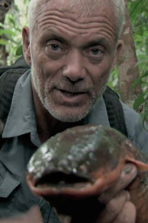 epizoda