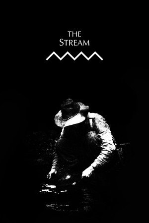 The Stream