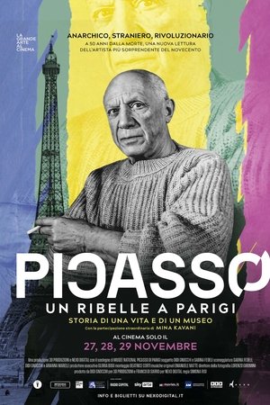 Picasso: Un ribelle a Parigi - Storia di una vita e di un museo