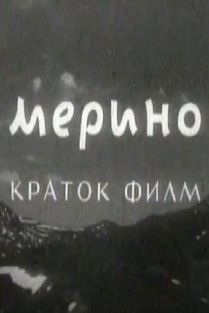Merino