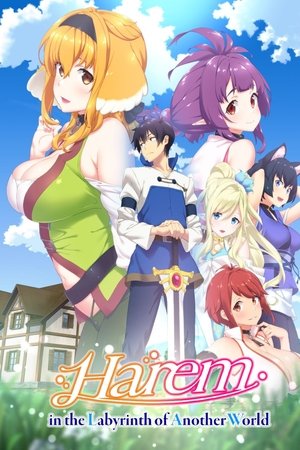 Harem in the Labyrinth of Another World