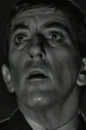 DS-233