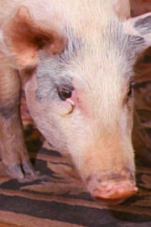 9. epizoda