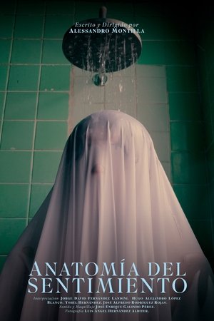 Anatomía del sentimiento