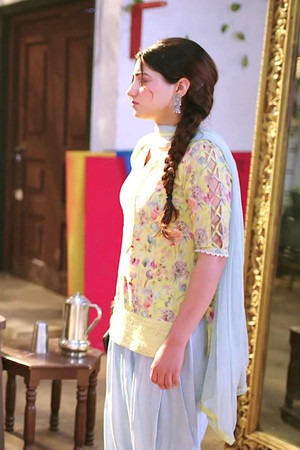 Heer Caught in Nawab's Demands