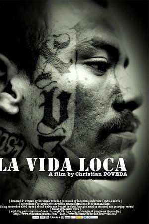 La vida loca
