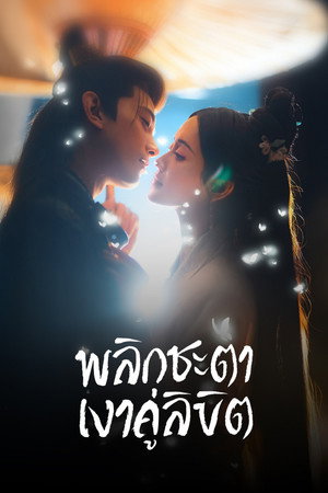พลิกชะตาเงาคู่ลิขิต