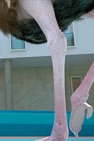 8. epizoda