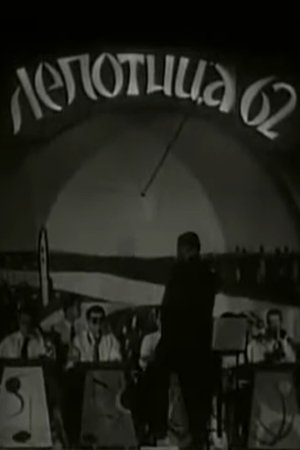 Ljepotica 62
