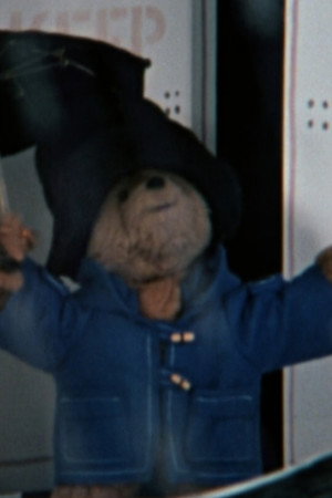 Paddington Goes to the Movies