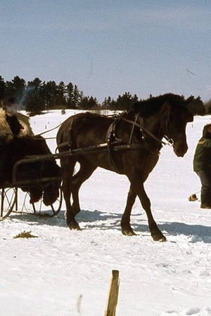 Kamouraska