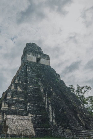 Tikal - The Jungle City